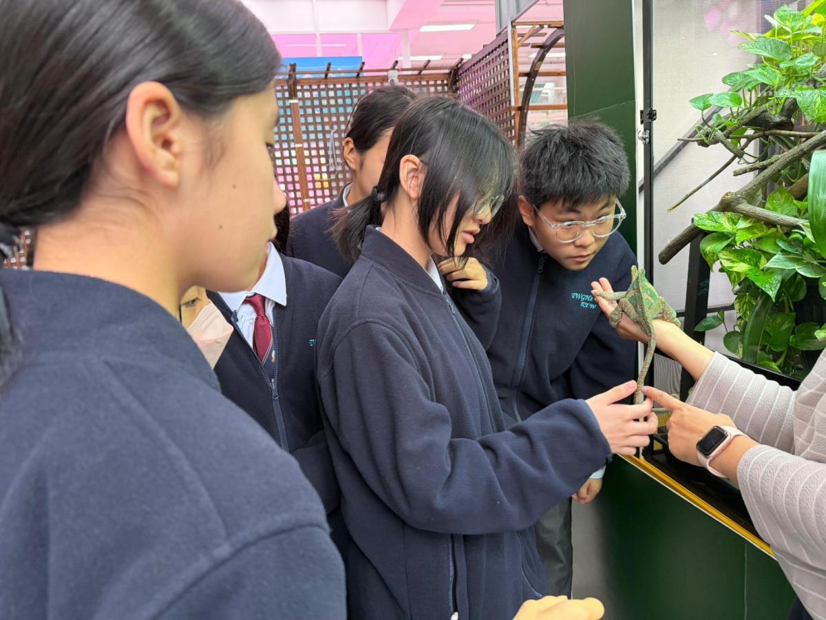 課程照片 6